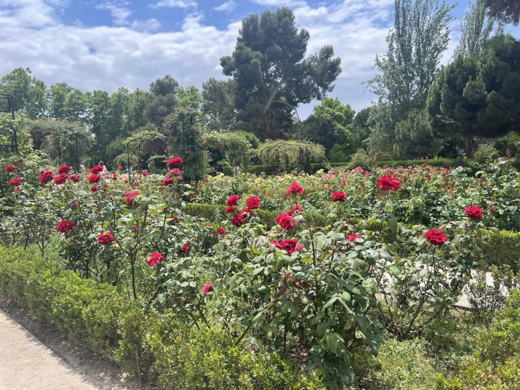 גן הוורדים פארק רטירו מדריד